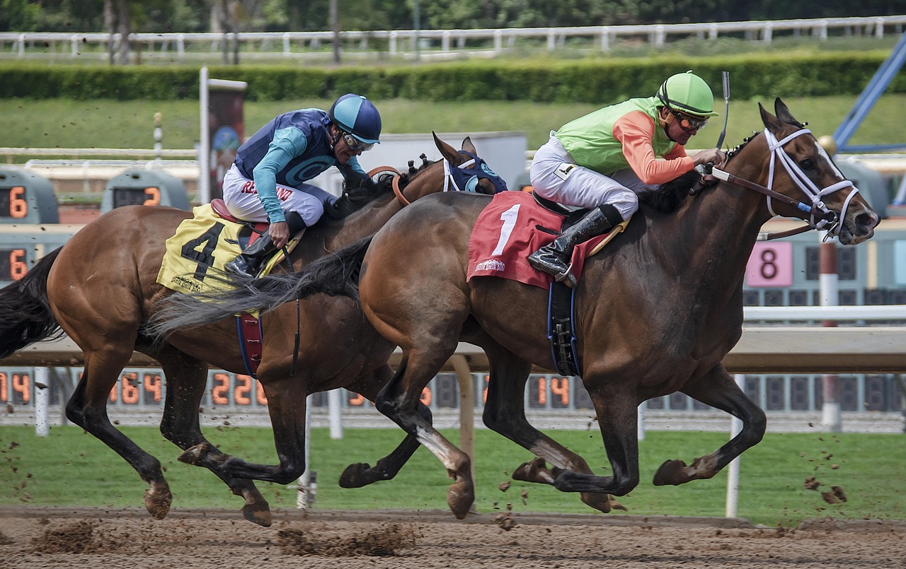 States Where Sports Betting Is Legal and the Rules Bettors Face